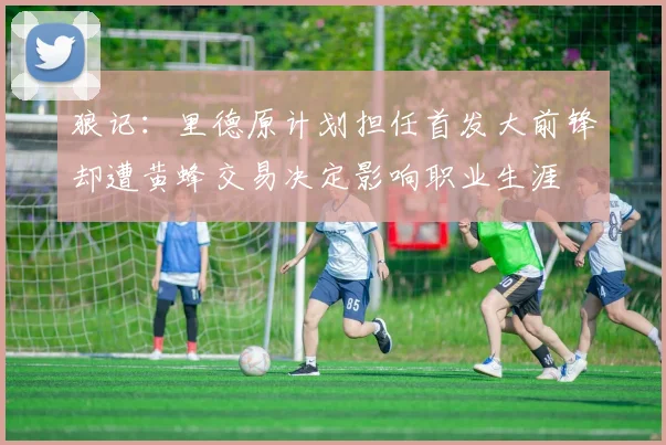 狼记：里德原计划担任首发大前锋却遭黄蜂交易决定影响职业生涯